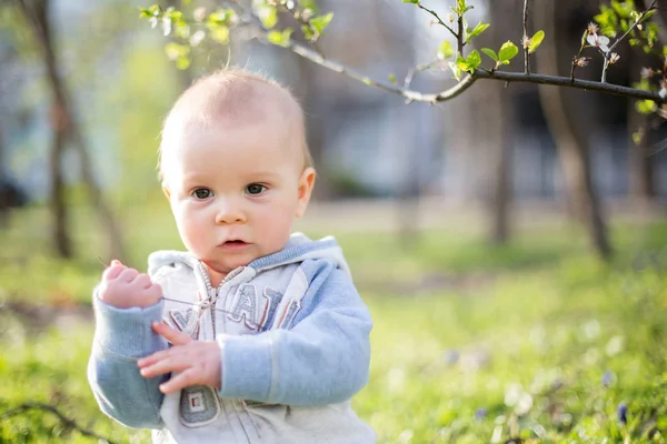 Söta Barn Pojke Sitter Gräset Blommande Trädgård Våren — Stockfoto