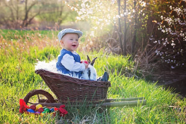 Aranyos Kis Baby Boy Kocsi Egy Virágzó Kert Kis Nyúl — Stock Fotó