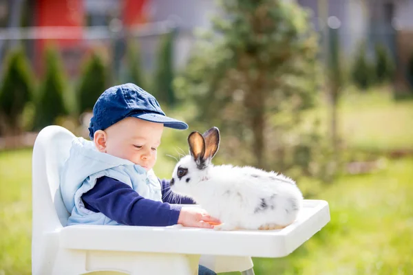 Cute Little Baby Boy Child Feeding Little Bunny Carrots Park — Stock Photo, Image