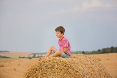 Traktör çalışma izlerken bulutlu bir günde, hastack alanında oturan sevimli okul öncesi çocuk,