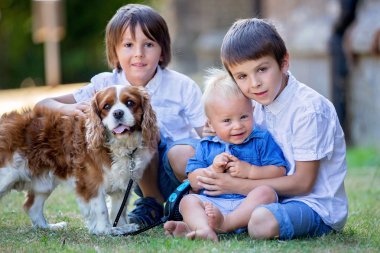 Beaugtiful okul öncesi çocuklar parkta, tatlı köpek ile oynarken, yaz
