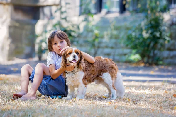 Beaugtiful Okul Öncesi Çocuklar Parkta Tatlı Köpek Ile Oynarken Yaz — Stok fotoğraf