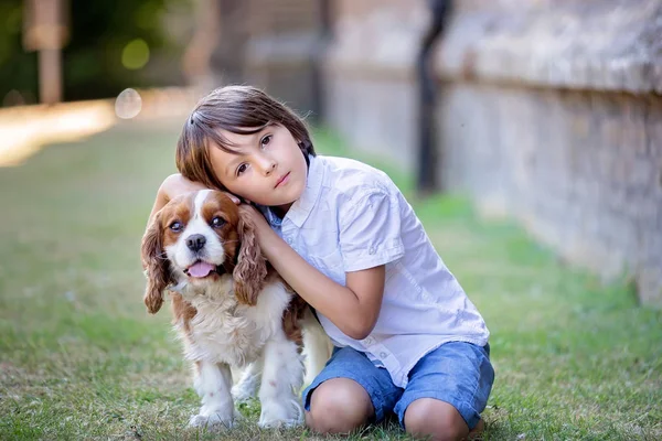 Beaugtiful 学龄前儿童 在公园玩甜狗 — 图库照片