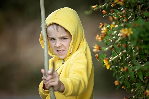 Menino Pré Escolar Atirando Com Arco Flecha Pôr Sol Jardim — Fotografia de Stock