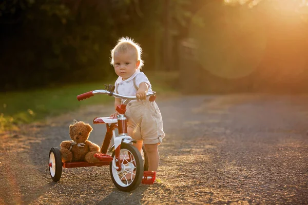 裏庭の三輪車 日没に自転車に乗る子供と遊ぶ少年 かわいい幼児子供 — ストック写真