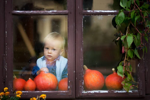 Foto Tema Halloween Bambino Carino Allegro Guardando Sulla Finestra Bellissimo — Foto Stock