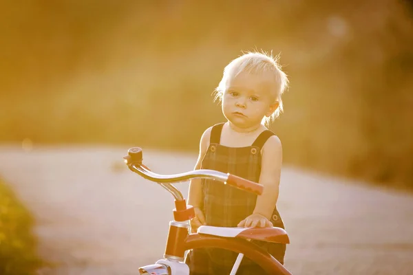 Cute Toddler Child Boy Playing Tricycle Park Eating Apple Kid — Stock Photo, Image