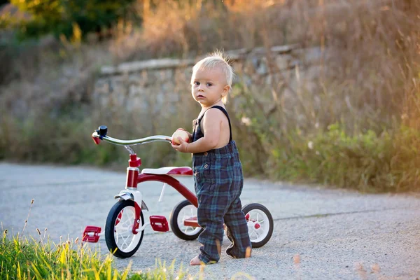 Niedliches Kleinkind Junge Spielt Mit Dreirad Park Und Isst Apfel — Stockfoto