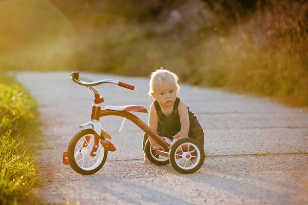 Söta Småbarn Barn Pojke Leker Med Trehjuling Parken Och Äta — Stockfoto