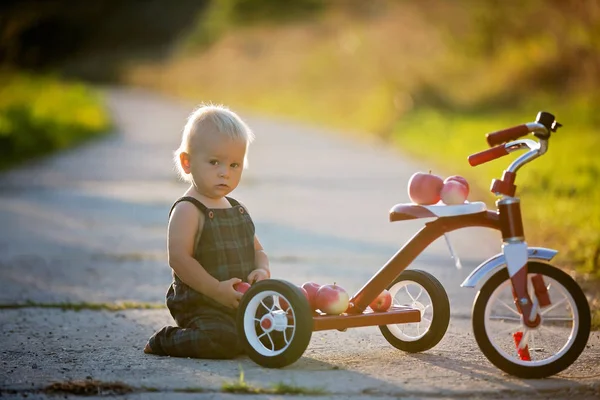 Bambino Bambino Carino Ragazzo Giocare Con Triciclo Nel Parco Mangiare — Foto Stock