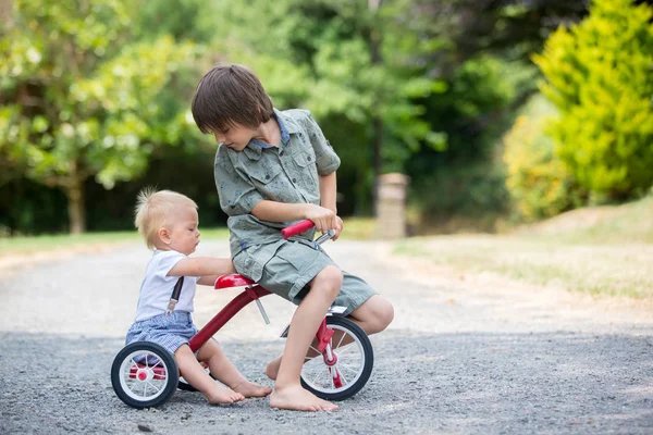 Menino Bonito Seu Irmão Mais Velho Brincando Com Triciclo Quintal — Fotografia de Stock