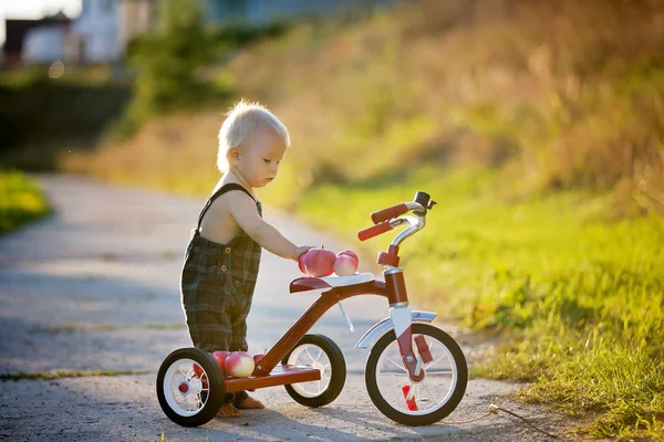 Schattig Peuter Kind Jongen Spelen Met Driewieler Park Eten Apple — Stockfoto