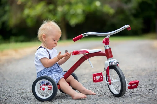 Menino Bonito Criança Brincando Com Triciclo Quintal Verão — Fotografia de Stock