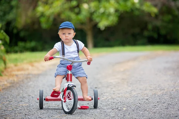 Söt Liten Knatte Pojke Leker Med Trehjuling Bakgård Summertime — Stockfoto