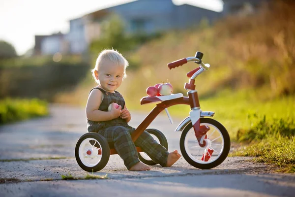 Söta Småbarn Barn Pojke Leker Med Trehjuling Parken Och Äta — Stockfoto