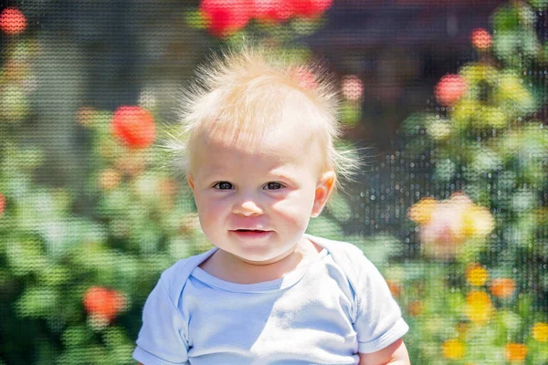 Cute little boy with static electricy hair, having his funny portrait taken outdoors on a trampoline