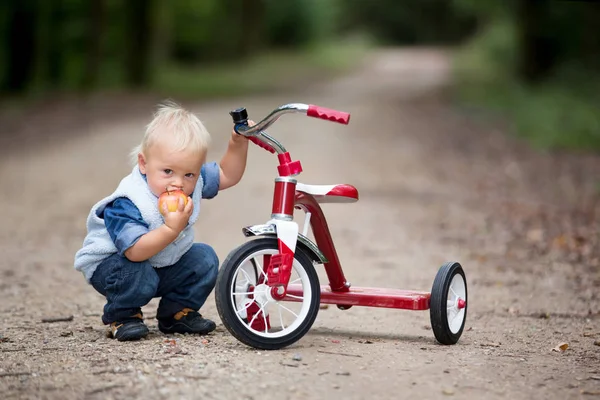 Мила Дитина Хлопчик Грає Триколісним Велосипедом Парку Їсть Яблуко Дитячий — стокове фото