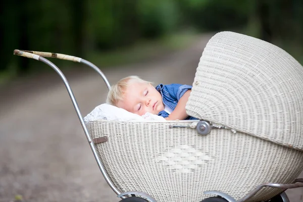 Pasgeboren Baby Jongetje Slapen Oude Retro Kinderwagen Bos Herfst Tijd — Stockfoto