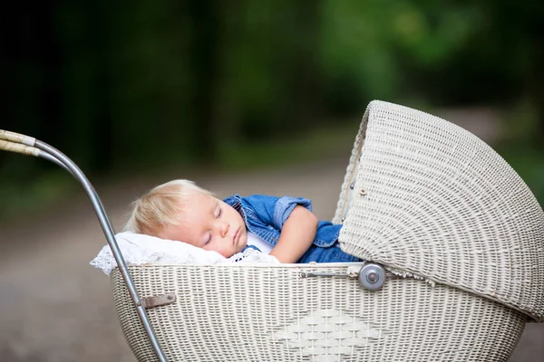 小婴儿男孩 睡在旧的复古推车在森林里 秋天的时间 婴儿在复古婴儿床 婴儿睡觉 老式推车 — 图库照片