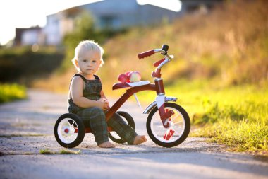 Cute toddler child, boy, playing with tricycle in park and eating apple, kid riding bike on sunset clipart