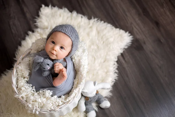 Zoete Jongetje Mand Vasthouden Knuffelen Teddybeer Nieuwsgierig Kijken Camera Glimlachend — Stockfoto