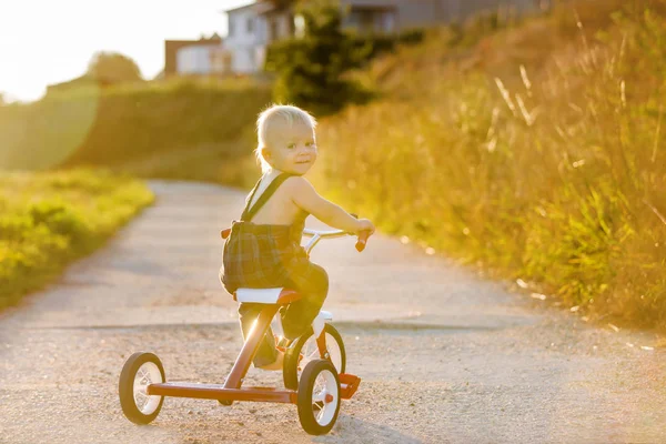 Schattig Peuter Kind Jongen Spelen Met Driewieler Park Eten Apple — Stockfoto