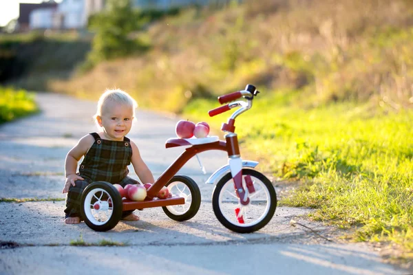 Criança Bonito Menino Brincando Com Triciclo Parque Comendo Maçã Criança — Fotografia de Stock