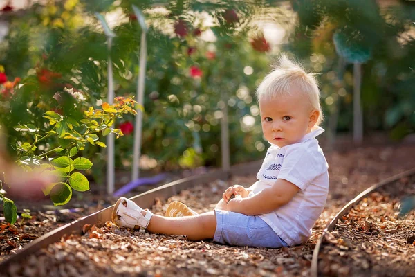 Милий Маленький Хлопчик Сидить Квітковому Саду Насолоджуючись Квітами Заході Сонця — стокове фото