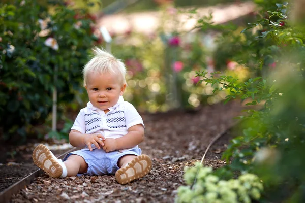 Schattige Kleine Baby Jongen Zittend Bloementuin Genieten Bloemen Zonsondergang Zomer — Stockfoto