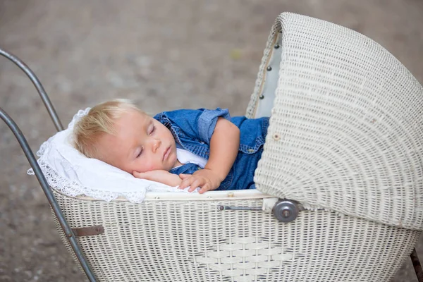 小さな新生児男の子 秋の時間の森の古いレトロなベビーカーで眠っています レトロなベビーカー 寝ている赤ちゃん ビンテージのベビーカーで赤ちゃんを提起 — ストック写真