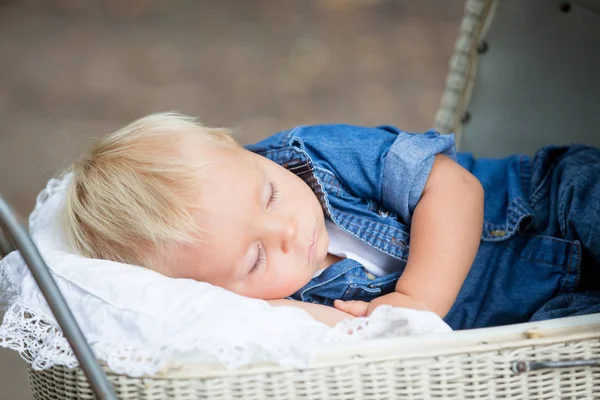 Menino Recém Nascido Dormindo Velho Carrinho Retro Floresta Horário Outono — Fotografia de Stock