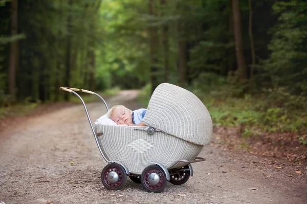 Niño Recién Nacido Durmiendo Viejo Cochecito Retro Bosque Otoño Posado —  Fotos de Stock