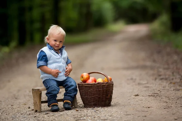 Förtjusande Baby Pojke Med Korg Full Äpplen Skog Ler Lyckligt — Stockfoto