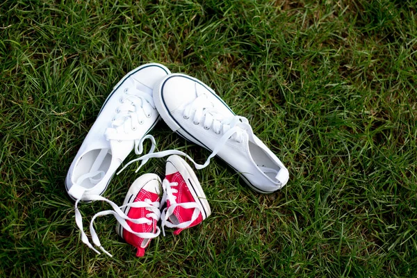 Red Baby Toddlers Sneakers White Woman Sneakers Grass Lased Together — Stock Photo, Image