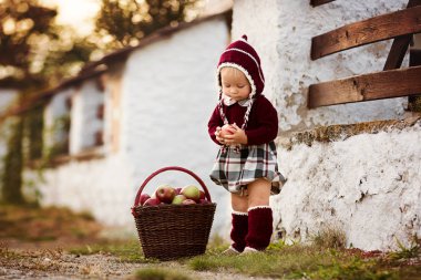 Çocuk yeme elma sonbahar bir köyde. Elma ile oynarken küçük oğlu. Çocuklar bir sepet meyve al. Yürümeye başlayan çocuk, yeme meyve hasat sonbahar. Açık eğlenceli çocuklar için