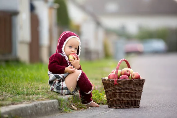 Bambino Che Mangia Mele Villaggio Autunno Bambino Che Gioca Con — Foto Stock