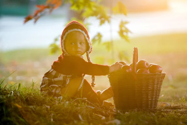 子供秋の村でりんごを食べること 小さな男の子はリンゴで遊ぶ 子供たちは バスケットにフルーツを拾います 幼児食果実は落下収穫です 子供のための屋外の楽しみ — ストック写真