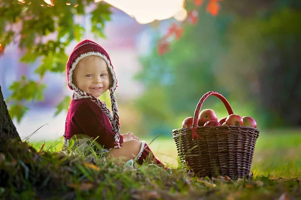 Dítě Jíst Jablka Jedné Vesnici Podzim Malý Chlapeček Hraje Jablky — Stock fotografie
