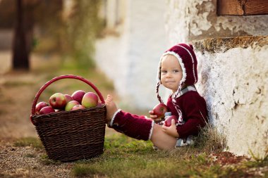 Çocuk yeme elma sonbahar bir köyde. Elma ile oynarken küçük oğlu. Çocuklar bir sepet meyve al. Yürümeye başlayan çocuk, yeme meyve hasat sonbahar. Açık eğlenceli çocuklar için