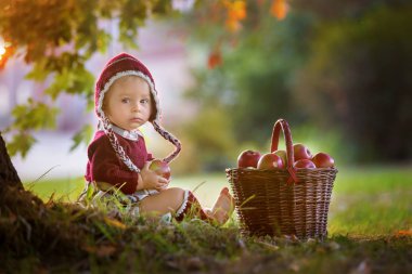 Çocuk yeme elma sonbahar bir köyde. Elma ile oynarken küçük oğlu. Çocuklar bir sepet meyve al. Yürümeye başlayan çocuk, yeme meyve hasat sonbahar. Açık eğlenceli çocuklar için