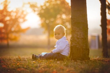 Sunset Bulvarında bir parkta silikon top ile akıllı çerez kutusundan Kuru meyve yemek küçük yürümeye başlayan çocuk,