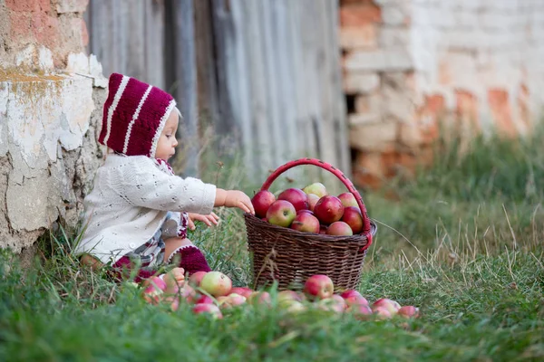 Bambino Che Mangia Mele Villaggio Autunno Bambino Che Gioca Con — Foto Stock