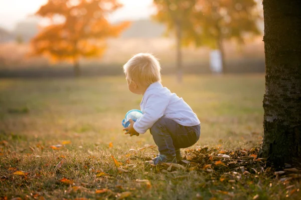 Pequeño Niño Come Frutas Secas Una Caja Bocadillos Inteligente Con — Foto de Stock