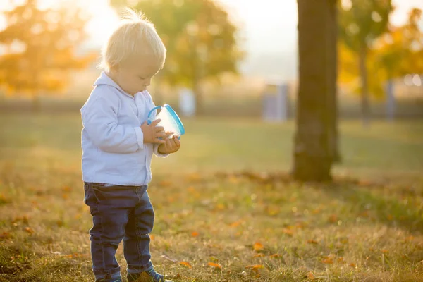 Liten Toddler Pojke Äta Torra Frukter Från Smart Snack Box — Stockfoto