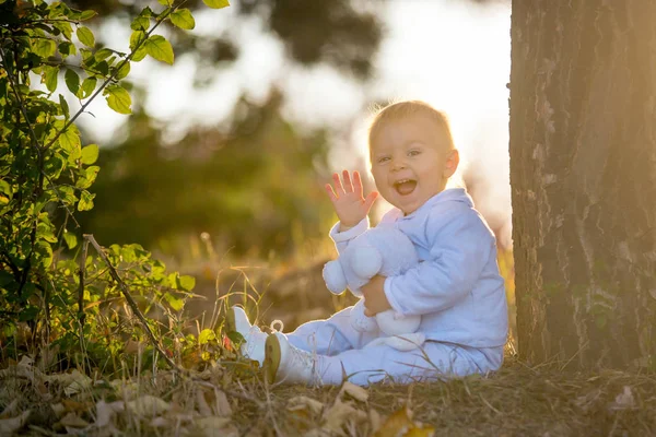 Cute Blond Toddler Baby Boy Walking Autumn Park Plush Toy — Stock Photo, Image