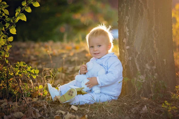 Roztomilý Blond Batole Chlapeček Chůzi Podzimním Parku Plyšovou Hračkou Rukou — Stock fotografie