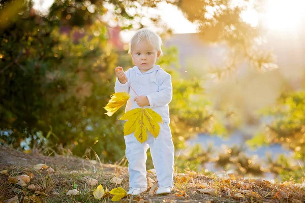 Мила Блондинка Малюк Хлопчик Ходить Осінньому Парку Плюшевою Іграшкою Руках — стокове фото