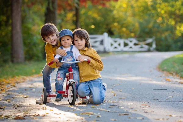 Süße Kleinkind Junge Dreirad Fahren Park Bei Sonnenuntergang Herbstzeit Geschwister — Stockfoto