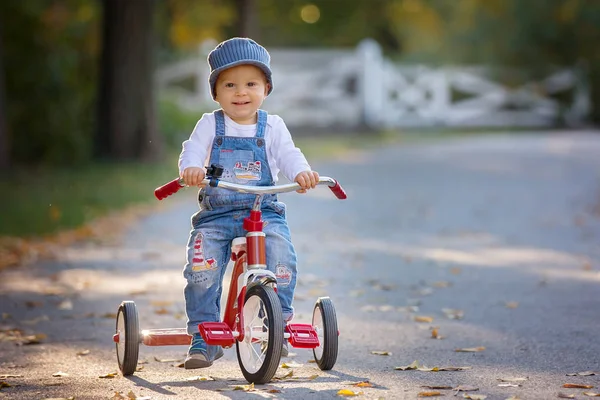 甘い幼児少年 公園で三輪車に乗って夕日 公園で兄弟秋の日に警告を楽しんで — ストック写真