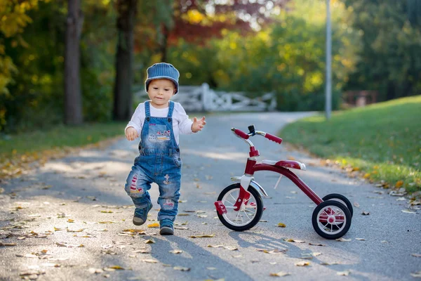 달콤한 일몰가 시간에 형제는 공원에서 공원에서 자전거를 즐기는 경고가 — 스톡 사진